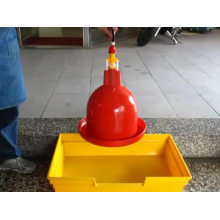 Plastic Poultry Chicken Plasson Bell Drinker Broiler Chick Water Fountain Automatic Chicken Gallon Bird Plasson Bell Waterer